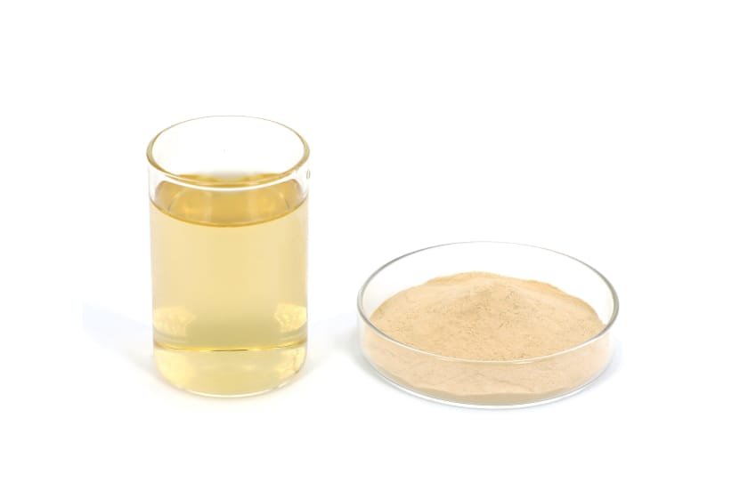 Amino Acid