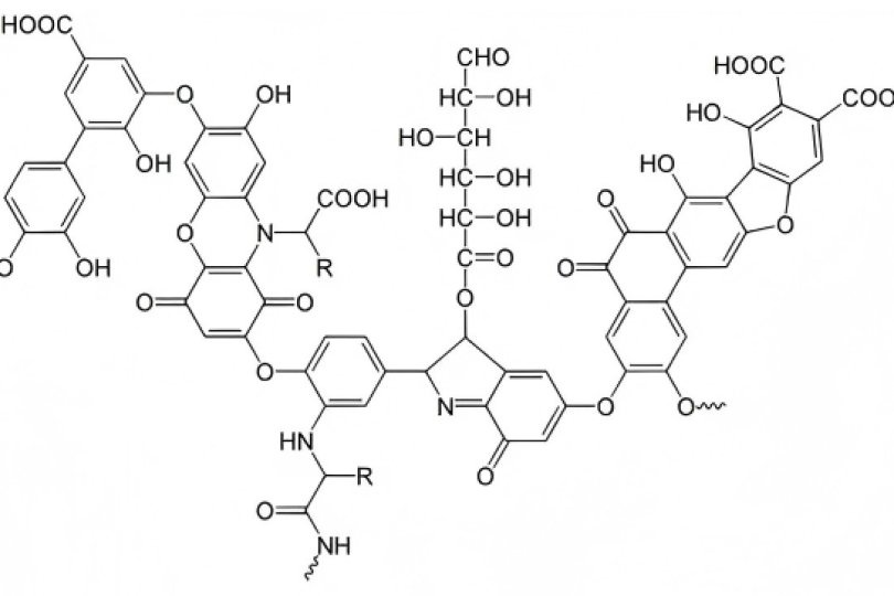 Sources and Structural Characteristics of Humic Acid