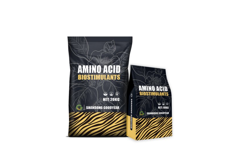 AmiTime® 800