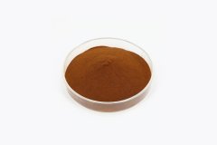 Fulvic Acid 1