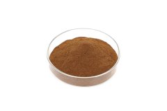 Fulvic Acid Powder 1