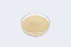 Amino Acid 1