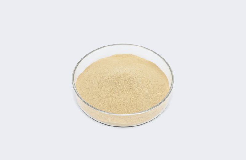 Amino Acid 1