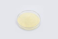 Amino Acid Powder 1