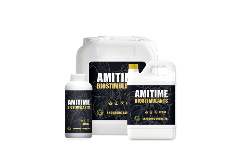 AmiTime® L30